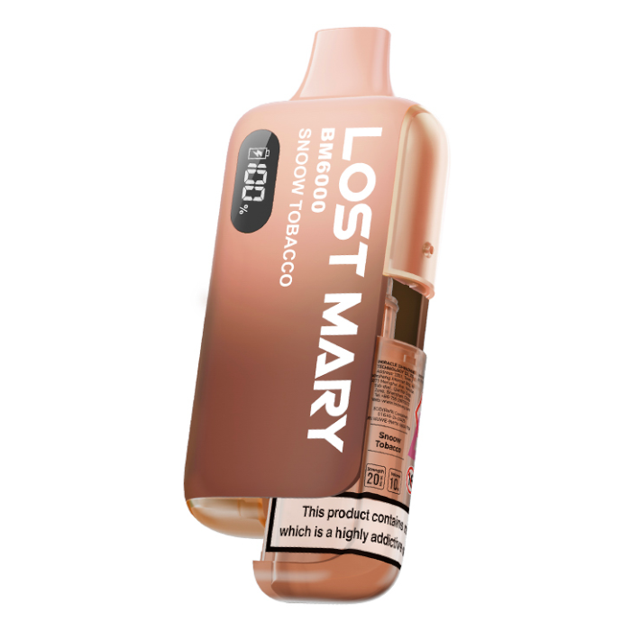 Lost Mary BM6000 Disposable Vape - Snoow Tobacco