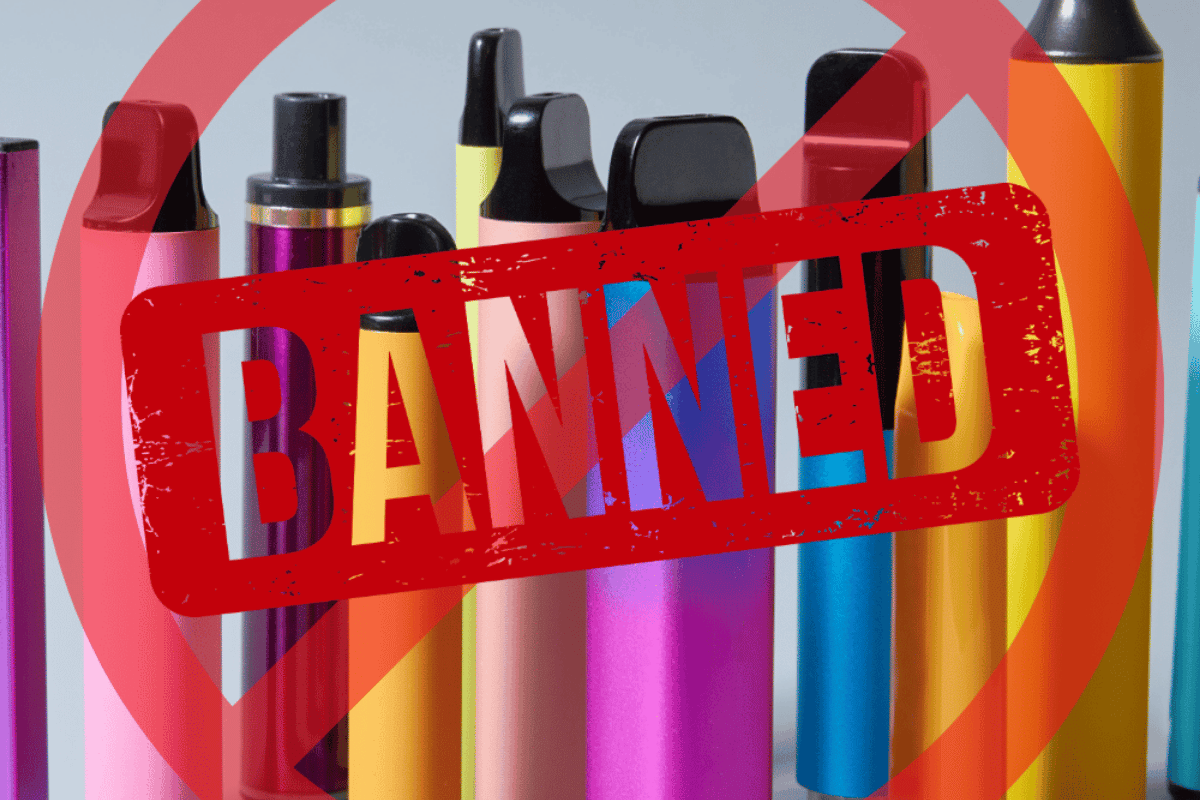 The Single Use 2025 Disposable Ban Explained